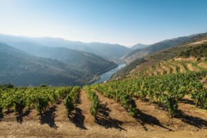 Portugal landscape vineyards Portugal Golden Visa opportunities in sustainable industries